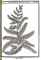  no thumbnail available