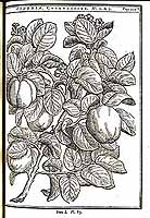  no thumbnail available