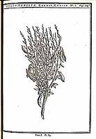  no thumbnail available