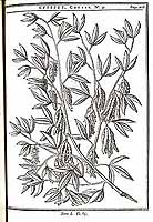  no thumbnail available