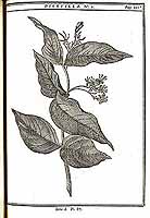  no thumbnail available