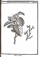  no thumbnail available