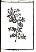  no thumbnail available