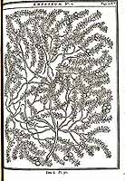  no thumbnail available