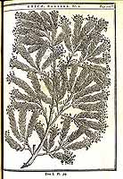  no thumbnail available