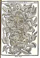  no thumbnail available