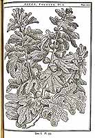  no thumbnail available