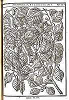  no thumbnail available