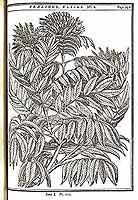  no thumbnail available