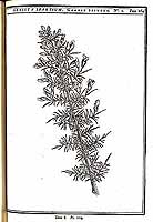  no thumbnail available