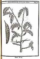  no thumbnail available