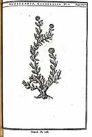  no thumbnail available