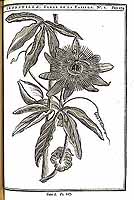  no thumbnail available