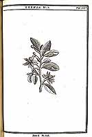  no thumbnail available