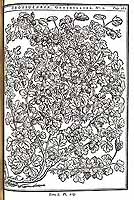  no thumbnail available