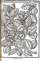  no thumbnail available