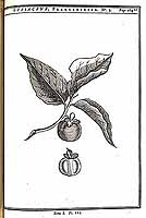  no thumbnail available