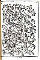  no thumbnail available