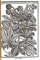  no thumbnail available