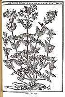  no thumbnail available