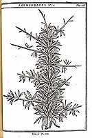  no thumbnail available