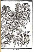  no thumbnail available