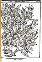  no thumbnail available