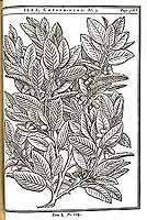  no thumbnail available