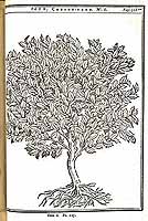  no thumbnail available