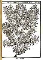  no thumbnail available