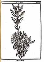  no thumbnail available