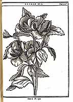  no thumbnail available