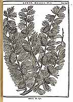  no thumbnail available