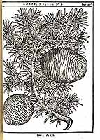  no thumbnail available