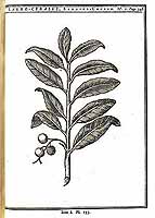  no thumbnail available