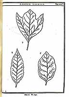  no thumbnail available