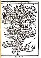  no thumbnail available