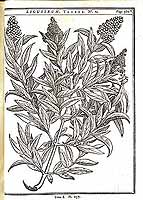  no thumbnail available