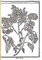  no thumbnail available