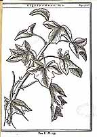  no thumbnail available