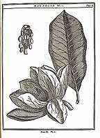  no thumbnail available