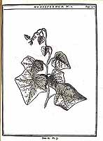  no thumbnail available