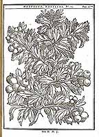  no thumbnail available