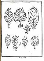  no thumbnail available