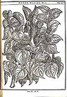  no thumbnail available