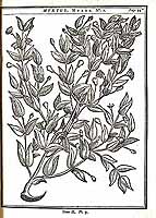  no thumbnail available