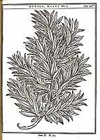  no thumbnail available