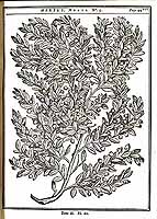  no thumbnail available