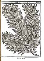  no thumbnail available