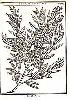  no thumbnail available